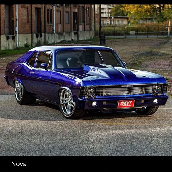 Meet your Posher, Chuck - Picture 1 of 1